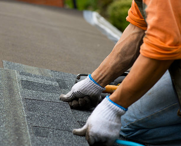 Best Roof Inspection Near Me  in De Graff, OH