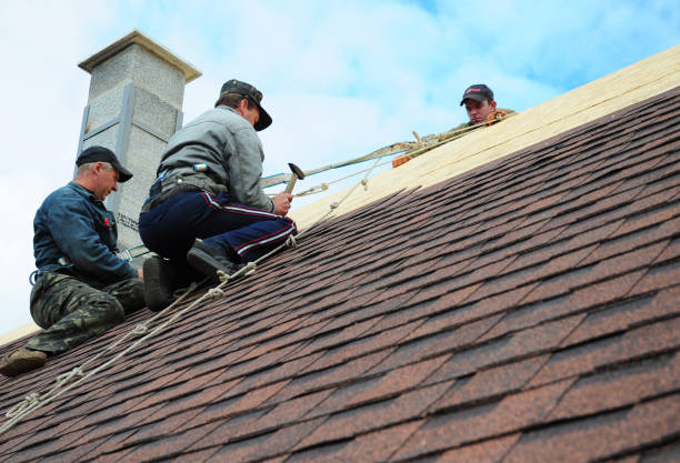 Best New Roof Installation  in De Graff, OH