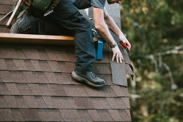 Best Sealant for Roof  in De Graff, OH